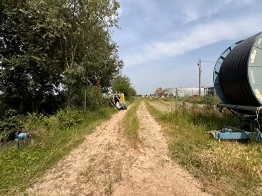 Immagine 21 di Magazzino in vendita  in VIA OLMO a Gazzo Veronese