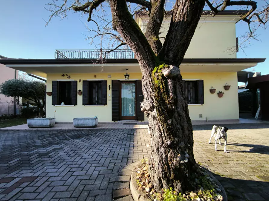 Immagine 24 di Casa indipendente in vendita  in Via Lombardia a Silea