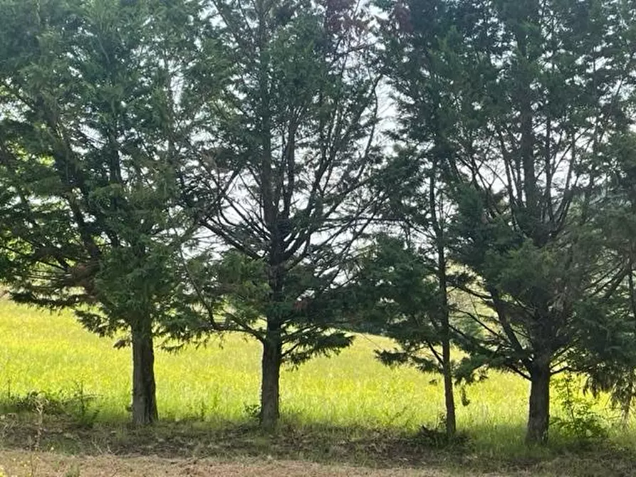 Immagine 1 di Terreno in vendita  in VIA ZENA 90 a Pianoro