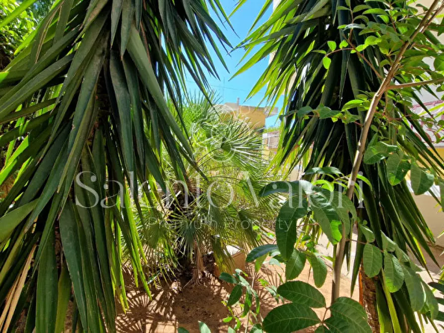 Immagine 40 di Appartamento in vendita  in Via Gorizia a Parabita