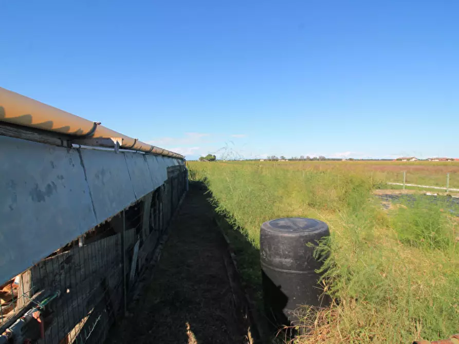 Immagine 2 di Terreno in vendita  in Via Tabina a San Donà Di Piave