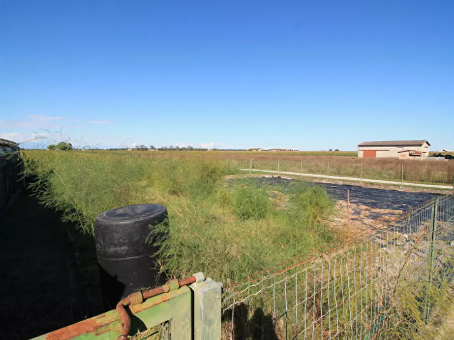 Immagine 3 di Terreno in vendita  in Via Tabina a San Donà Di Piave