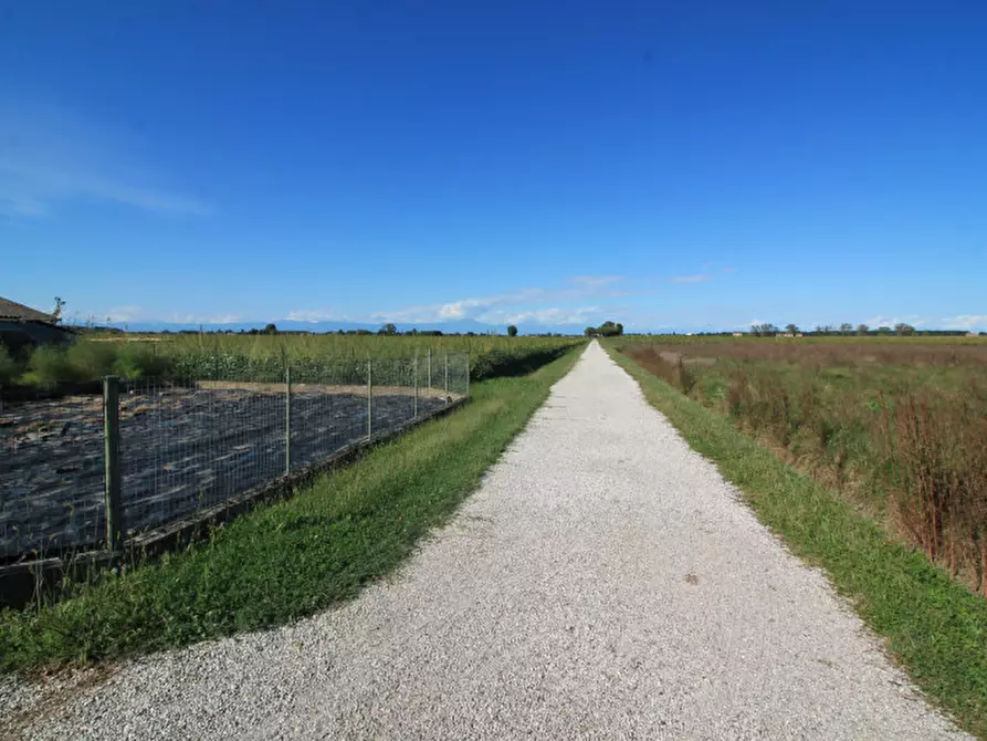 Immagine 4 di Terreno in vendita  in Via Tabina a San Donà Di Piave
