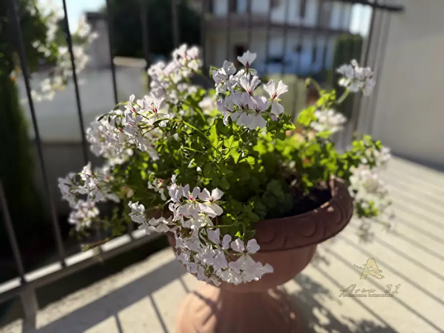 Immagine 32 di Villa in vendita  in Via Fornaci a Palazzolo Dello Stella