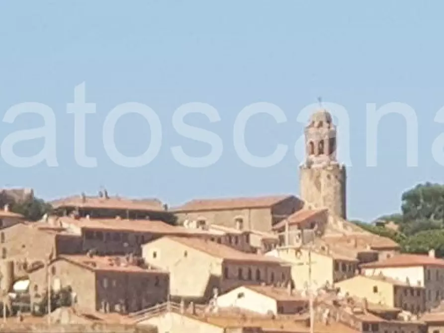 Immagine 16 di Appartamento in vendita  in Ponte Giorgini a Castiglione Della Pescaia