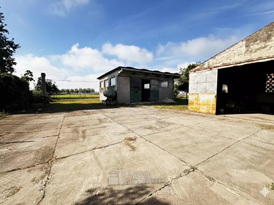 Immagine 3 di Rustico / casale in vendita  in Via Nazario Sauro a Masi