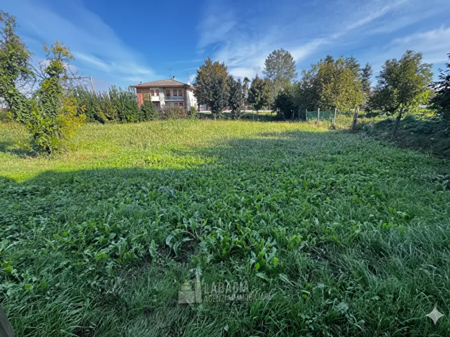 Immagine 15 di Rustico / casale in vendita  in Via Nazario Sauro a Masi