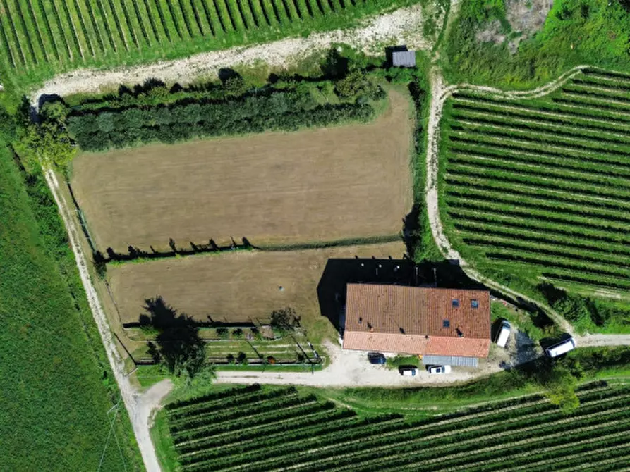 Immagine 5 di Rustico / casale in vendita  in Località Gatto a Bussolengo