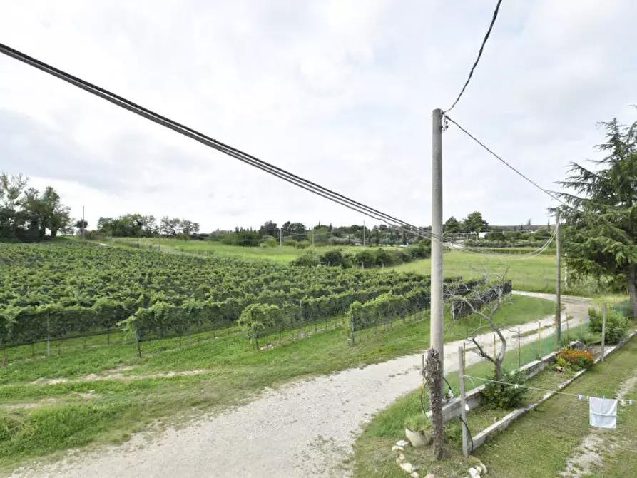 Immagine 18 di Rustico / casale in vendita  in Località Gatto a Bussolengo