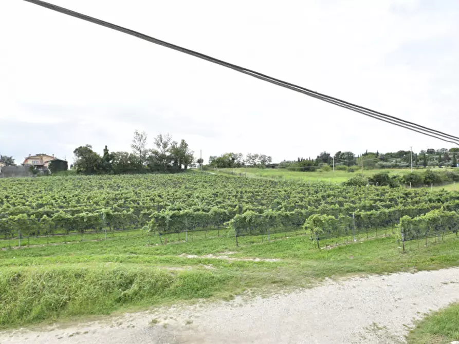 Immagine 19 di Rustico / casale in vendita  in Località Gatto a Bussolengo