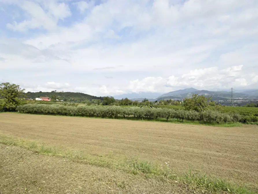 Immagine 28 di Rustico / casale in vendita  in Località Gatto a Bussolengo