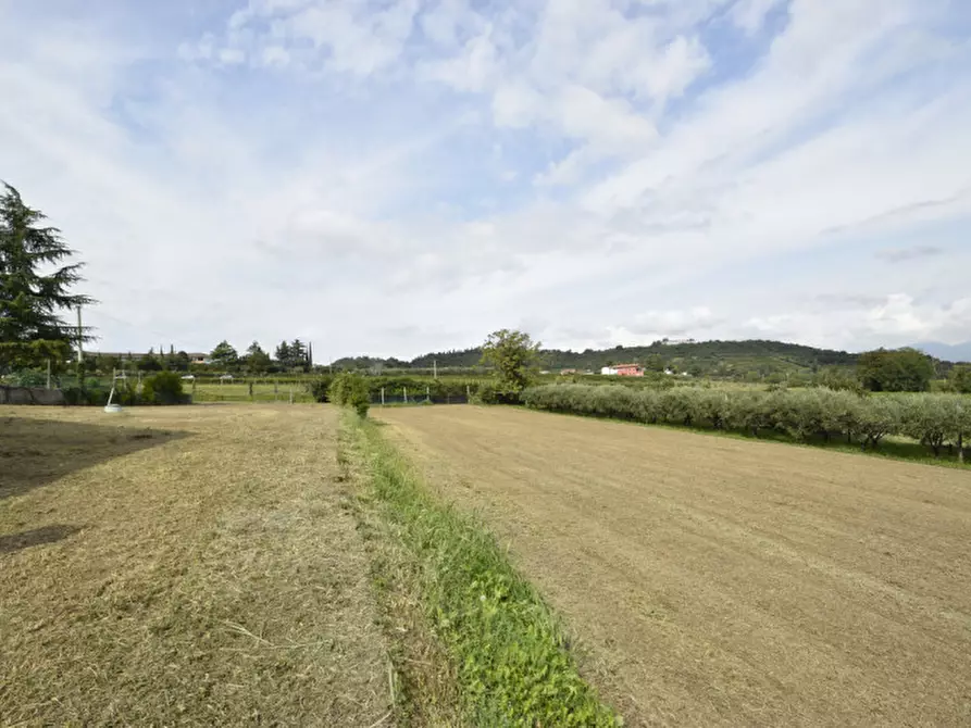 Immagine 30 di Rustico / casale in vendita  in Località Gatto a Bussolengo