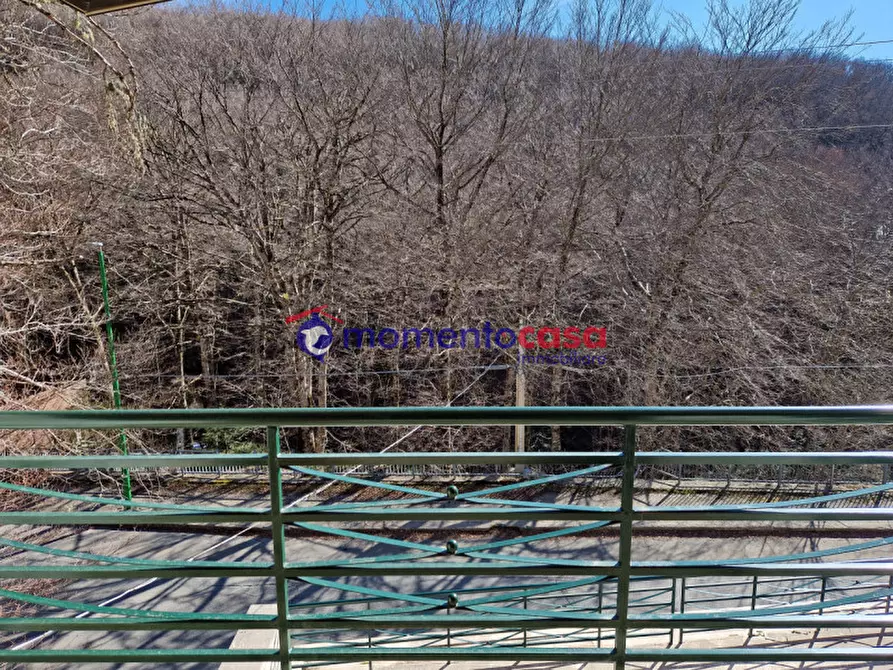 Immagine 13 di Casa bifamiliare in vendita  in via valle oscura a Santo Stefano In Aspromonte