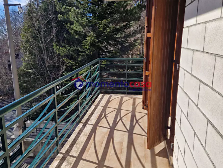 Immagine 17 di Casa bifamiliare in vendita  in via valle oscura a Santo Stefano In Aspromonte