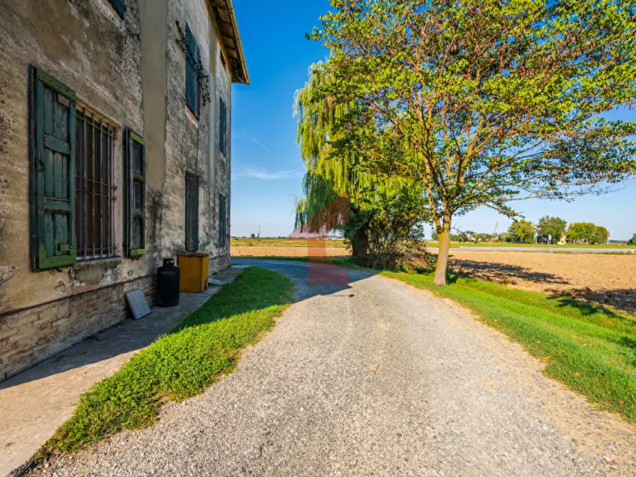 Immagine 13 di Rustico / casale in vendita  in paroletta 61 a Fontanellato
