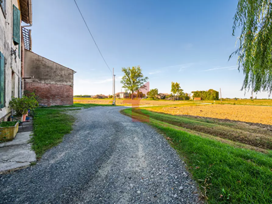 Immagine 14 di Rustico / casale in vendita  in paroletta 61 a Fontanellato