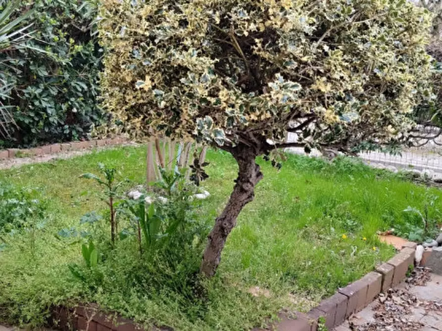 Immagine 16 di Villetta a schiera in vendita  a Monselice