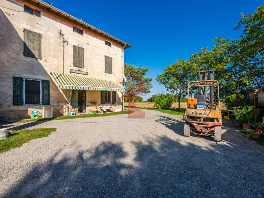 Immagine 8 di Rustico / casale in vendita  in Paroletta 61 a Fontanellato