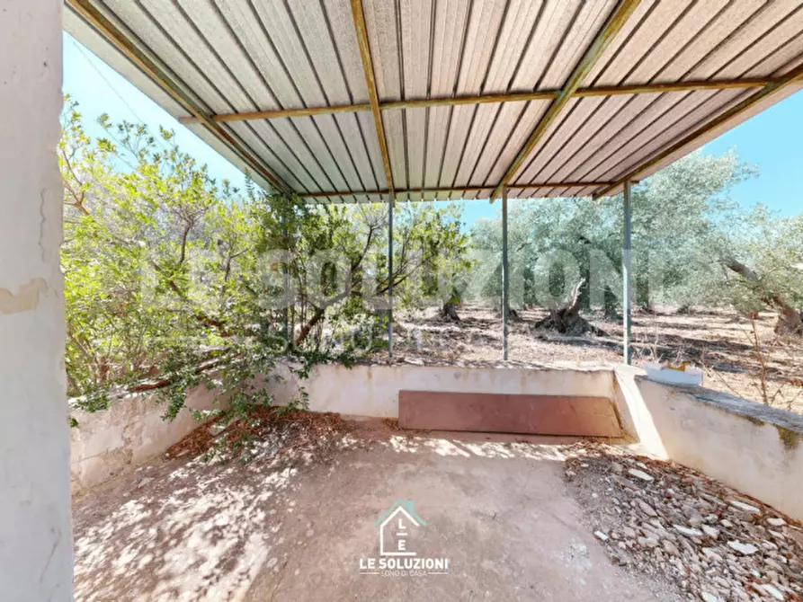 Immagine 11 di Magazzino in vendita  in Strada Comunale Traversa di Via Pozzo Martino a Putignano