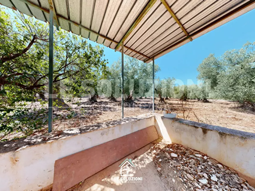 Immagine 12 di Magazzino in vendita  in Strada Comunale Traversa di Via Pozzo Martino a Putignano