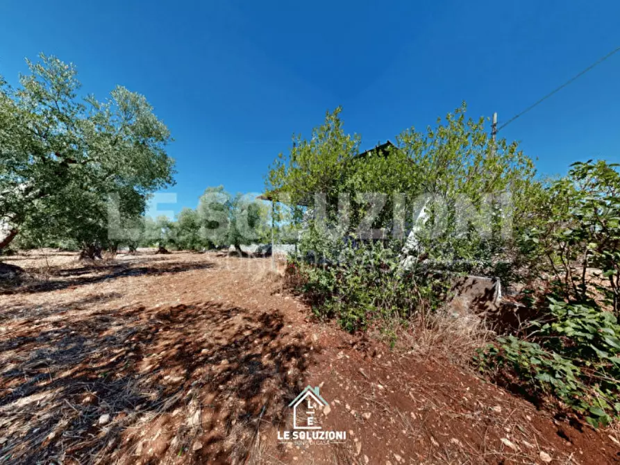 Immagine 16 di Magazzino in vendita  in Strada Comunale Traversa di Via Pozzo Martino a Putignano