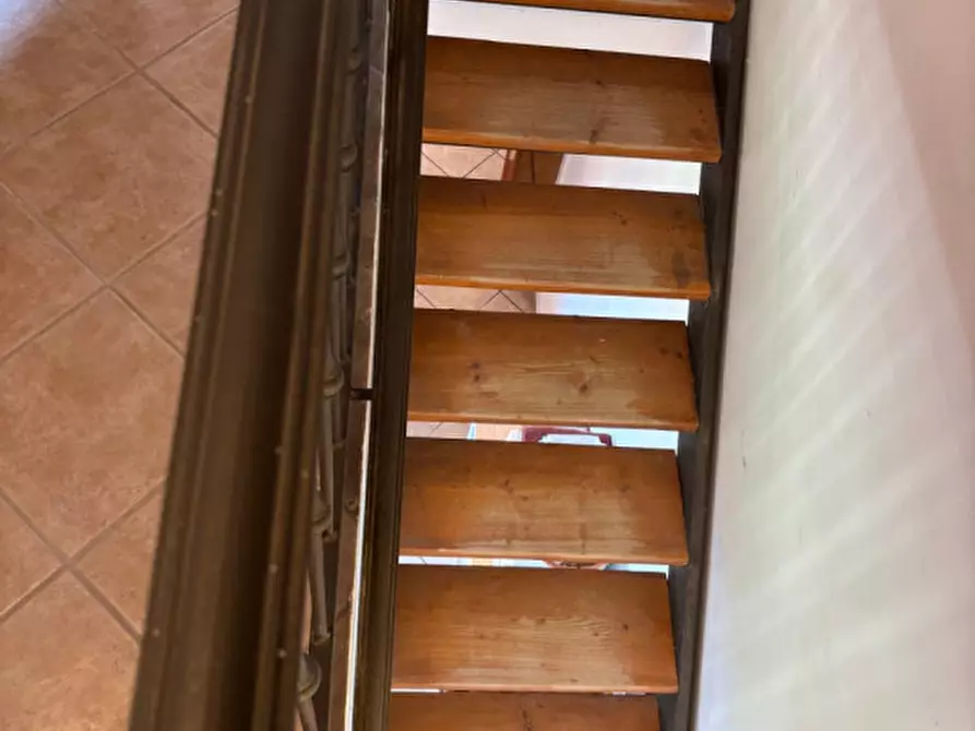 Immagine 31 di Camera in affitto  in Srada Argine sinistro del Parma 82 a Colorno