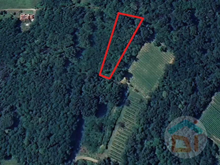 Immagine 1 di Terreno in vendita  in località gradiscutta a Gorizia