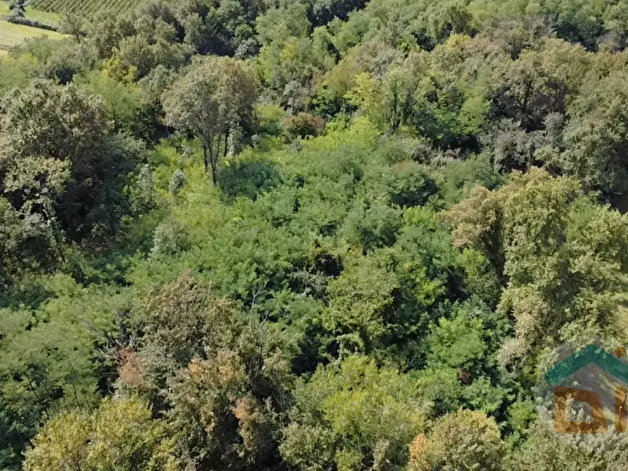 Immagine 2 di Terreno in vendita  in località gradiscutta a Gorizia