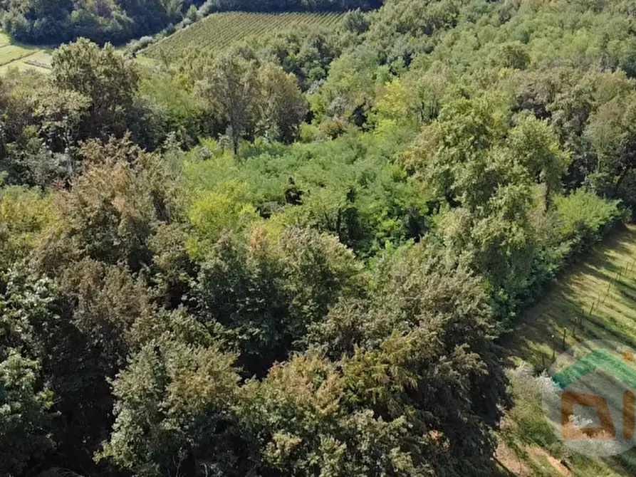 Immagine 3 di Terreno in vendita  in località gradiscutta a Gorizia