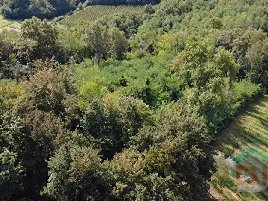 Immagine 4 di Terreno in vendita  in località gradiscutta a Gorizia