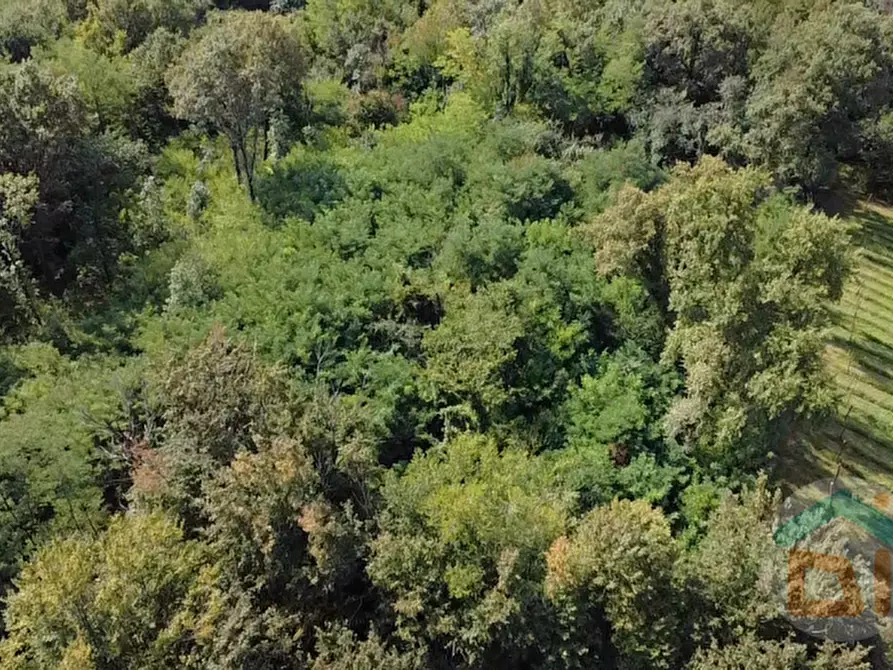 Immagine 5 di Terreno in vendita  in località gradiscutta a Gorizia