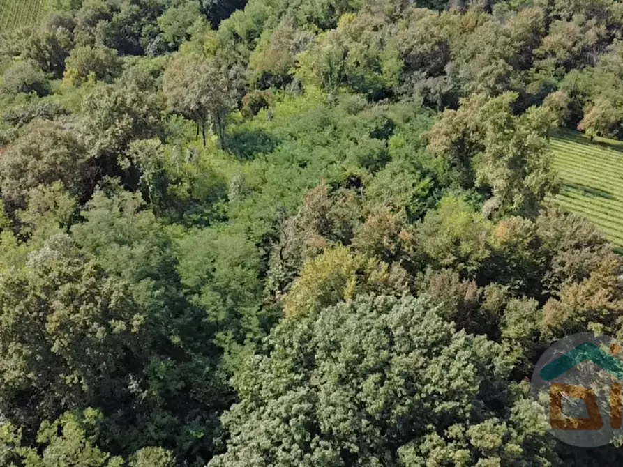 Immagine 6 di Terreno in vendita  in località gradiscutta a Gorizia