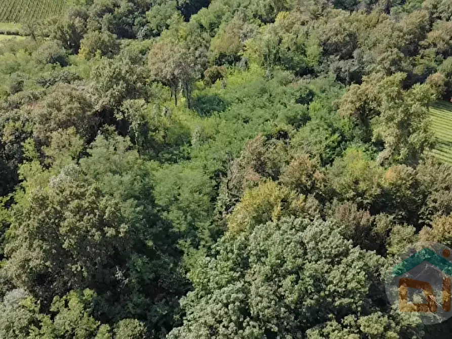 Immagine 7 di Terreno in vendita  in località gradiscutta a Gorizia