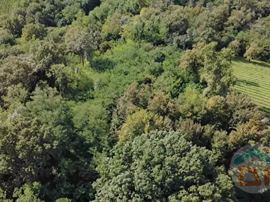 Immagine 8 di Terreno in vendita  in località gradiscutta a Gorizia