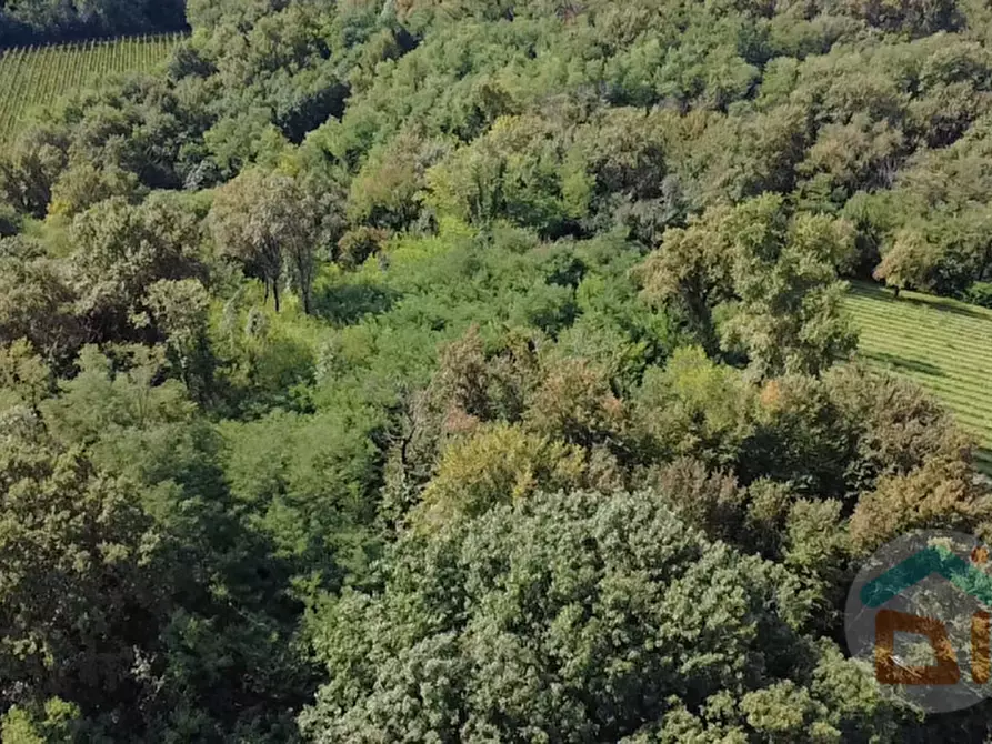 Immagine 9 di Terreno in vendita  in località gradiscutta a Gorizia