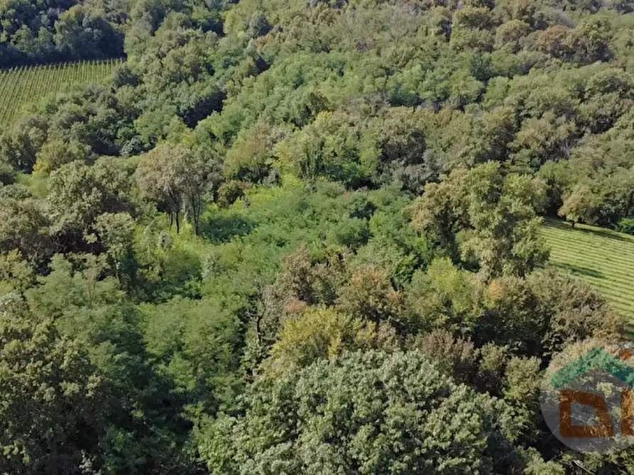 Immagine 10 di Terreno in vendita  in località gradiscutta a Gorizia