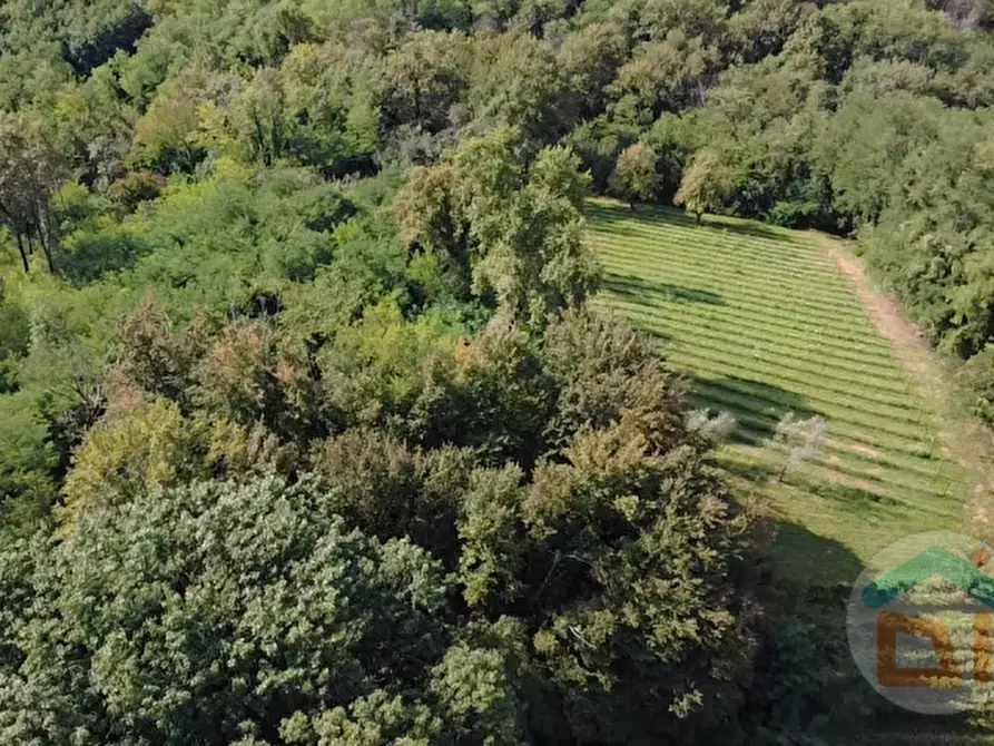 Immagine 11 di Terreno in vendita  in località gradiscutta a Gorizia