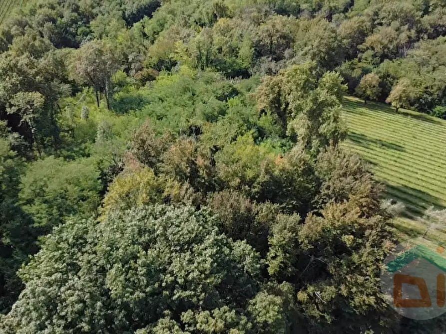Immagine 12 di Terreno in vendita  in località gradiscutta a Gorizia