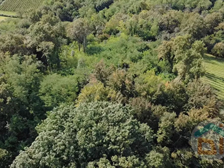 Immagine 13 di Terreno in vendita  in località gradiscutta a Gorizia