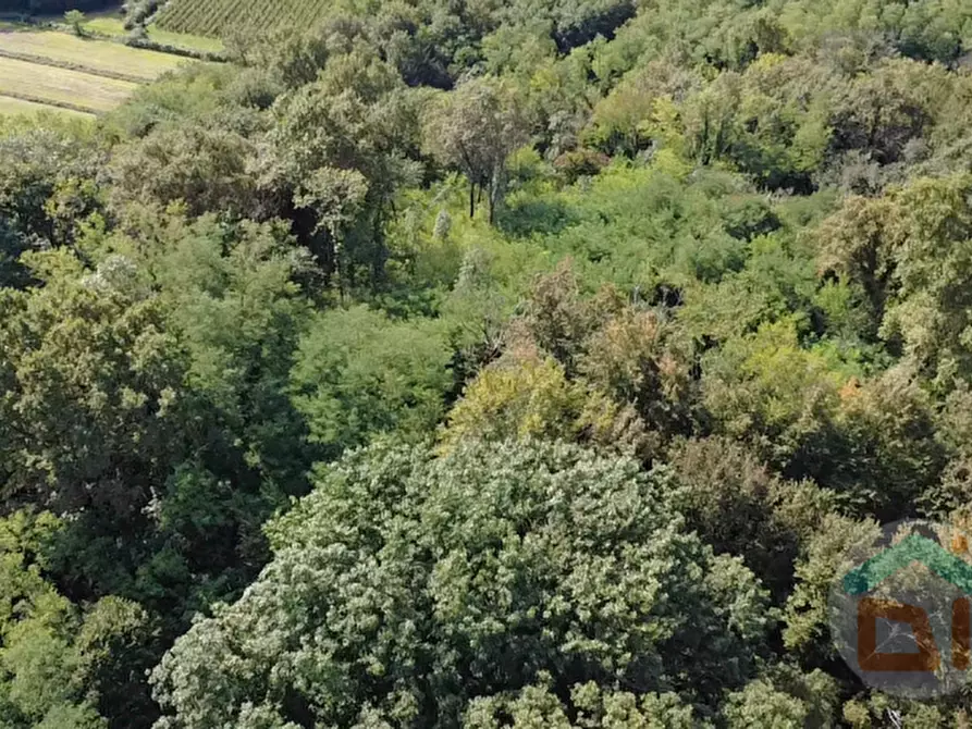 Immagine 14 di Terreno in vendita  in località gradiscutta a Gorizia