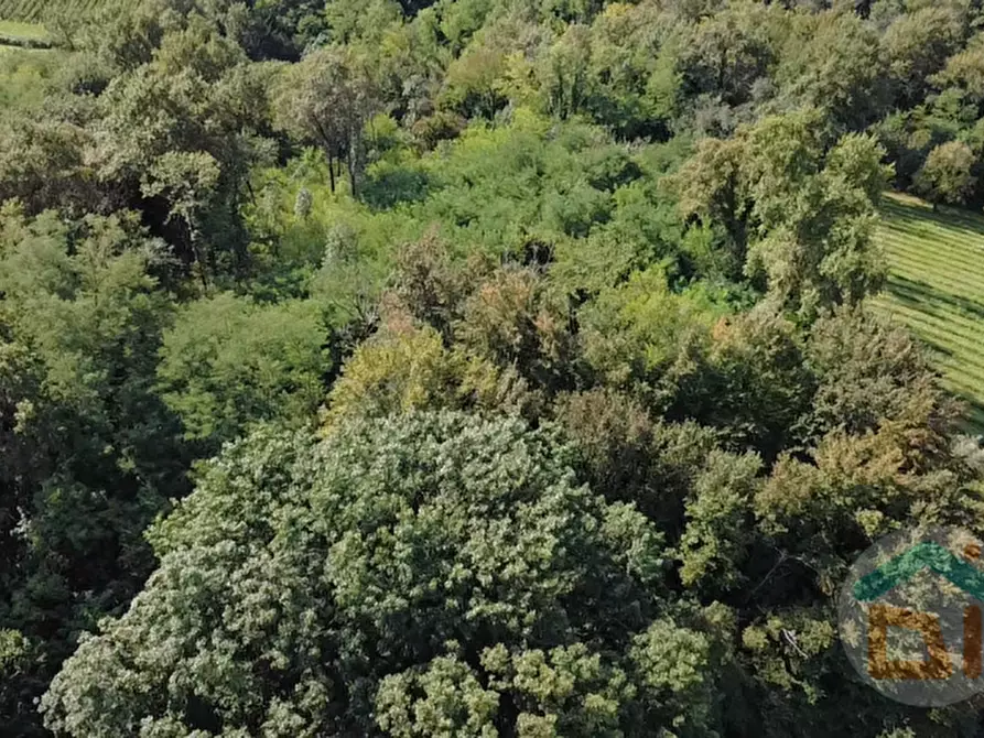 Immagine 15 di Terreno in vendita  in località gradiscutta a Gorizia