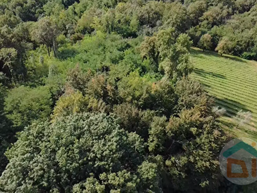 Immagine 16 di Terreno in vendita  in località gradiscutta a Gorizia