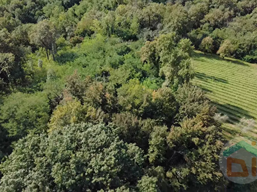 Immagine 17 di Terreno in vendita  in località gradiscutta a Gorizia