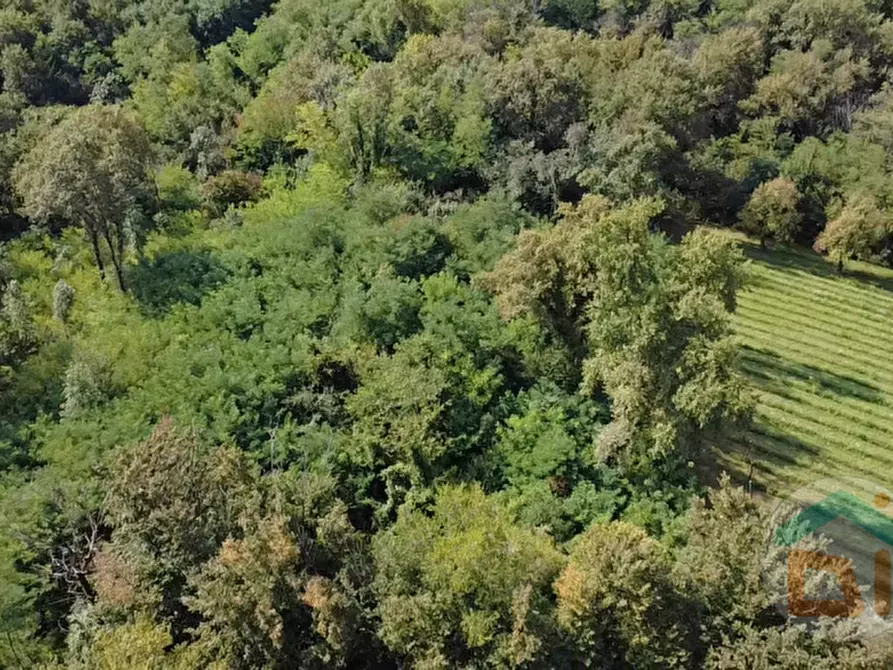 Immagine 18 di Terreno in vendita  in località gradiscutta a Gorizia