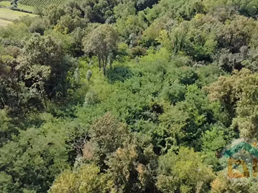 Immagine 19 di Terreno in vendita  in località gradiscutta a Gorizia