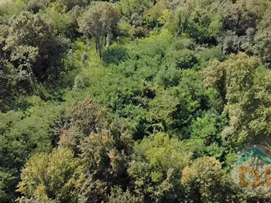 Immagine 20 di Terreno in vendita  in località gradiscutta a Gorizia