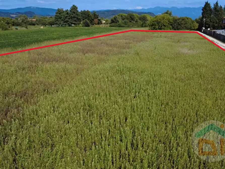 Immagine 4 di Terreno in vendita  in Via Isonzo a Mossa