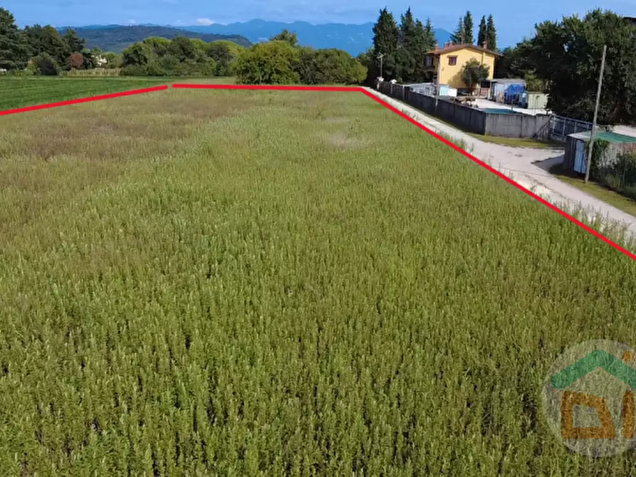 Immagine 5 di Terreno in vendita  in Via Isonzo a Mossa