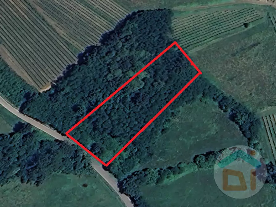 Immagine 1 di Terreno in vendita  in Via IV Novembre a Mossa