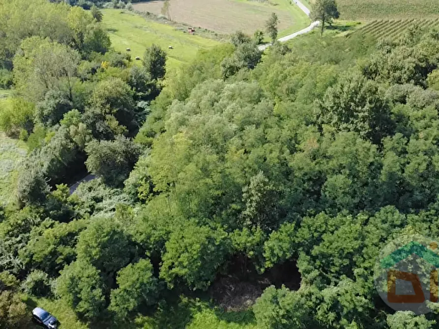 Immagine 2 di Terreno in vendita  in Via IV Novembre a Mossa